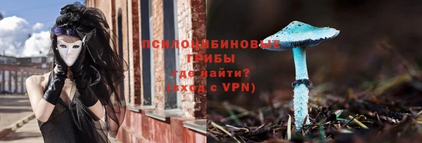 PSILOCYBIN Навашино