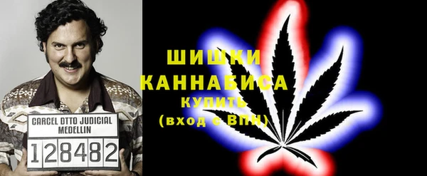 PSILOCYBIN Навашино
