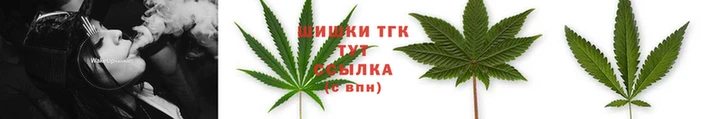 скорость Надым