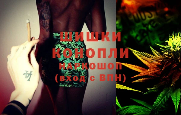 шишки Нефтекумск