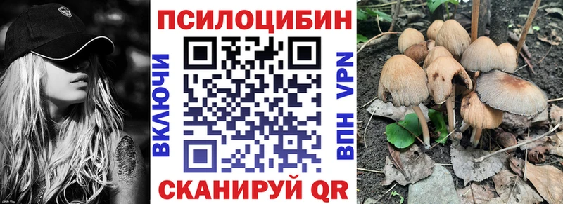 Галлюциногенные грибы Psilocybine cubensis  Людиново 