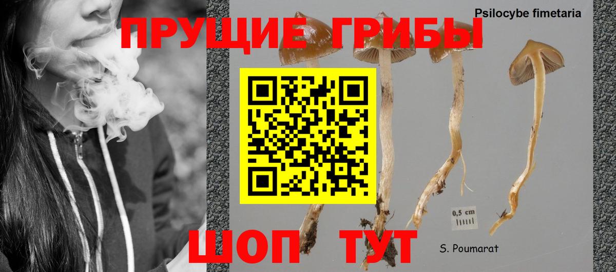 Псилоцибиновые грибы ЛСД  Вход с VPN  Галлюциногенные грибы MAGIC MUSHROOMS  Людиново 