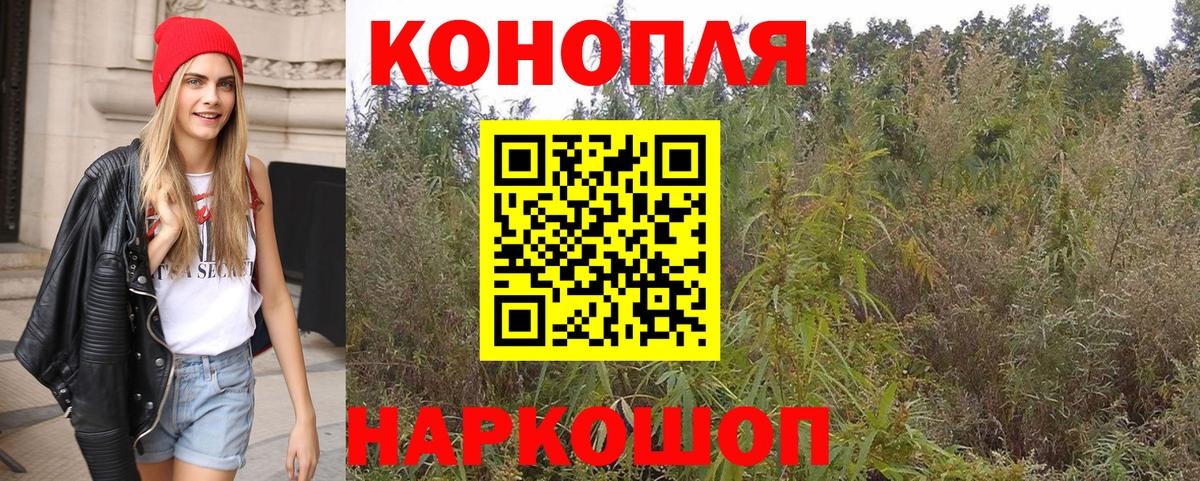 Бошки Шишки SATIVA & INDICA  Людиново  Бошки марихуана Amnesia 